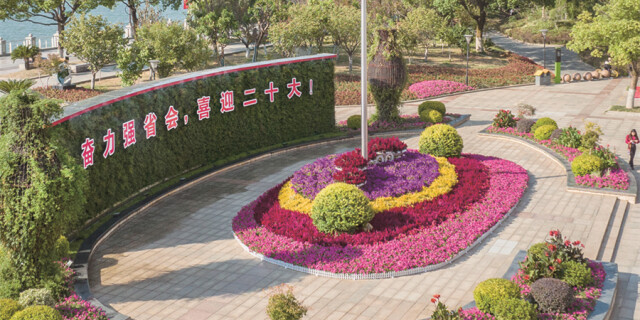 花团锦簇迎盛会