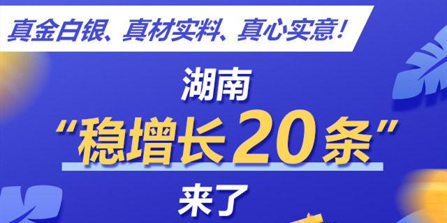 真金白银、真材实料、真心实意！湖南&ldquo;稳增长20条&rdquo;来了