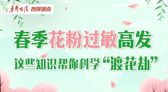 【科普动起来】图解|春季花粉过敏高发 这些知识帮你科学&ldquo;渡花劫&rdquo;