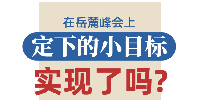 在岳麓峰会上定下的小目标实现了吗？