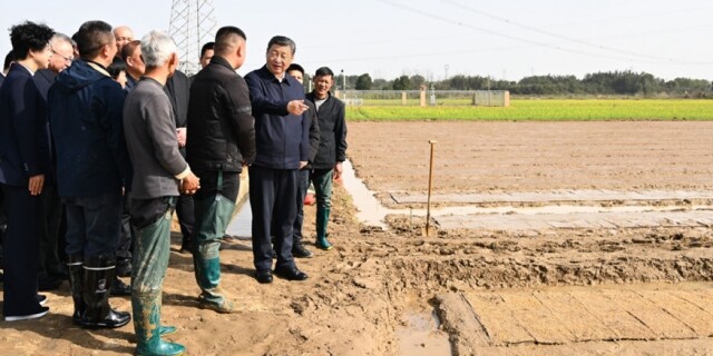 习近平走进农田考察春耕备耕情况