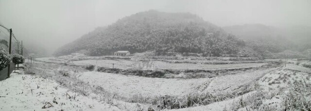 瑞雪兆丰年！氛围感已经拉满