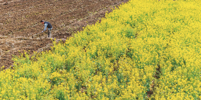 农民抢抓农时忙春耕