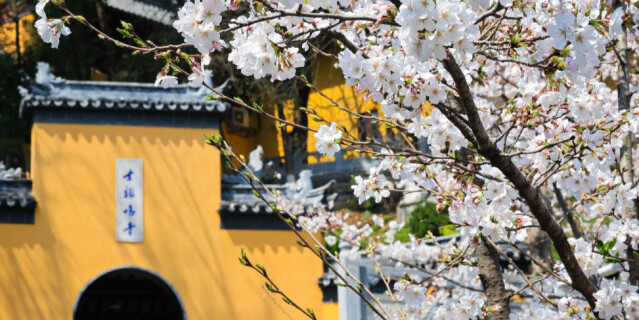 穿越时光的浪漫——当古建邂逅春光
