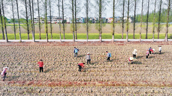 春和景明农事忙