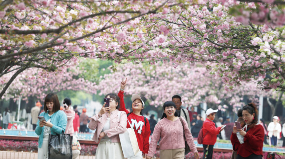 走出家门 踏青游玩