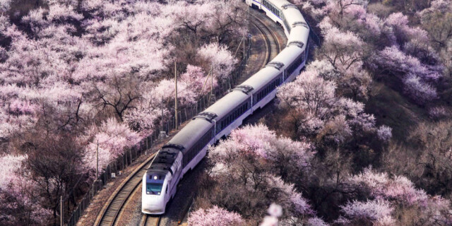 开往春天的列车，下一站：春和景明