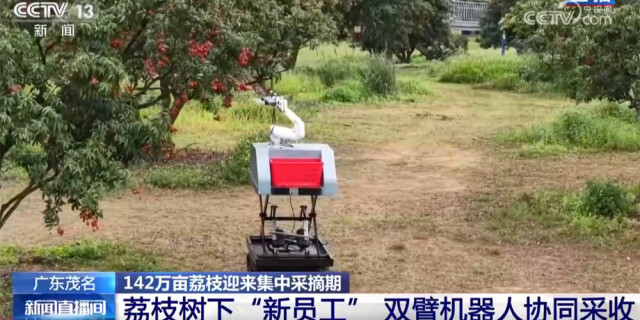 科技助力特色产业耕出好景“智” “小”荔枝串起乡村振兴“大文章”