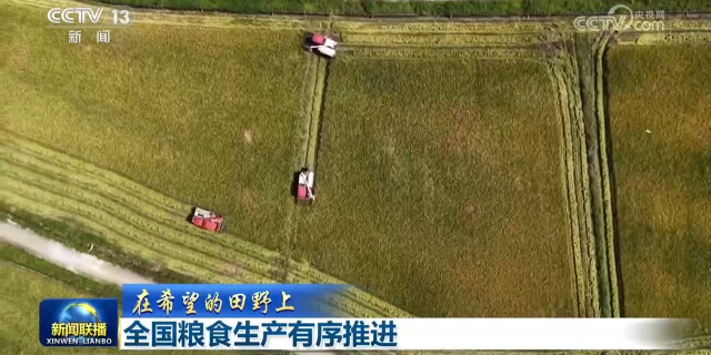 【在希望的田野上】全国粮食生产有序推进