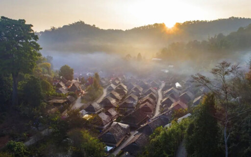 叶脉传世界——在茶香中，让世界看见景迈山