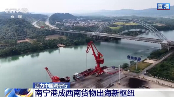活力中国调研行丨平陆运河通航即将满月 南宁港有哪些变化？