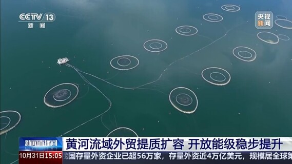 视频丨累计进出口35.53万亿元！黄河流域外贸五年“成绩单”亮眼