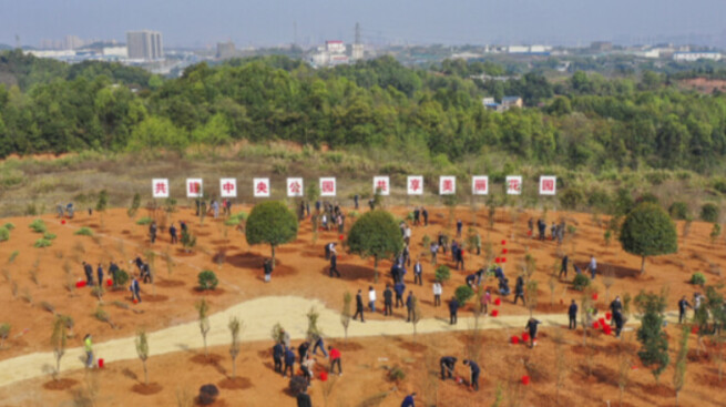 从“栽下一棵树”到“育好一片林” ——湖南绿化提质绘就生态新图景