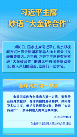 学习进行时｜习近平主席妙语“大金砖合作”