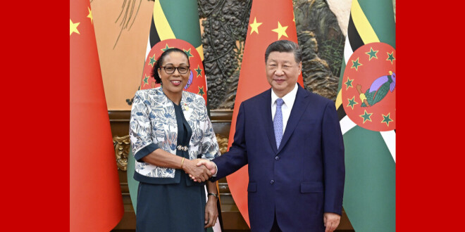 习近平会见多米尼克总统伯顿