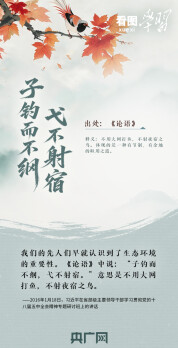 看图学习·和谐共生丨总书记用这些古语阐释自然之道