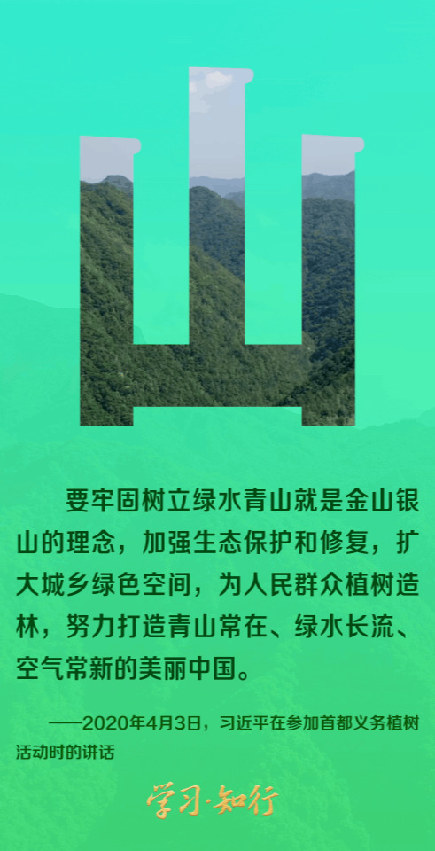 和谐共生丨八个字里的生态密码