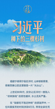 习言道｜习近平种下的三棵杉树