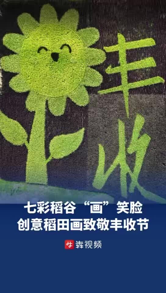  七彩稻谷“画”笑脸，长沙农技师稻田巨幅画致敬丰收节