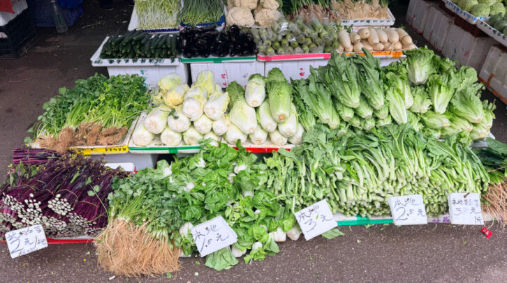  长沙42万亩蔬菜长势正旺，春节“菜篮子”量足价稳 