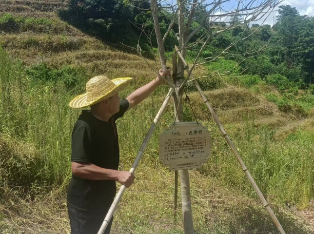  这里的每一棵树，都藏着对故人深深的思念