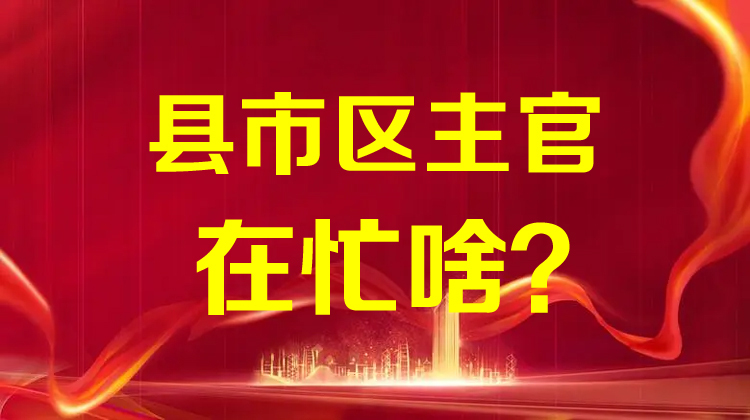 县市区主官在忙啥？
