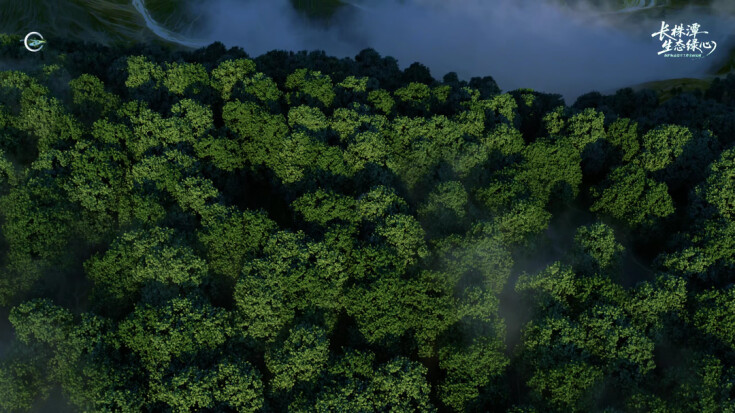 视频|长株潭生态绿心保护标志设立工作全面完成