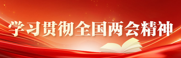 学习贯彻全国两会精神 