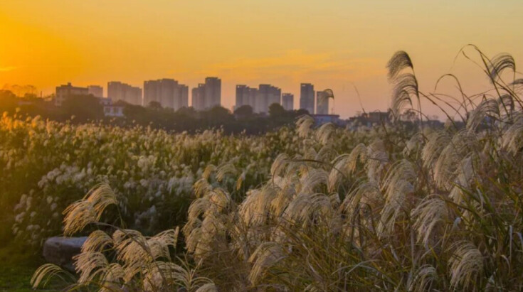 秋意正浓！湖南的秋日限定景色悄然上线