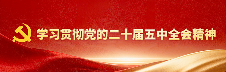 学习贯彻党的二十届五中全会精神