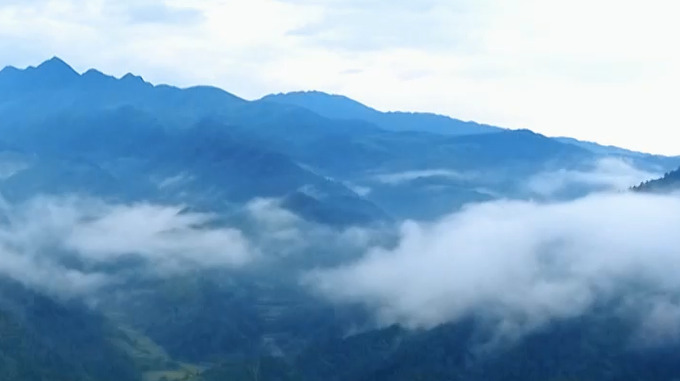 乡村优品推荐官