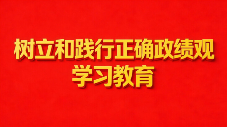 【专题】树立和践行正确政绩观学习教育