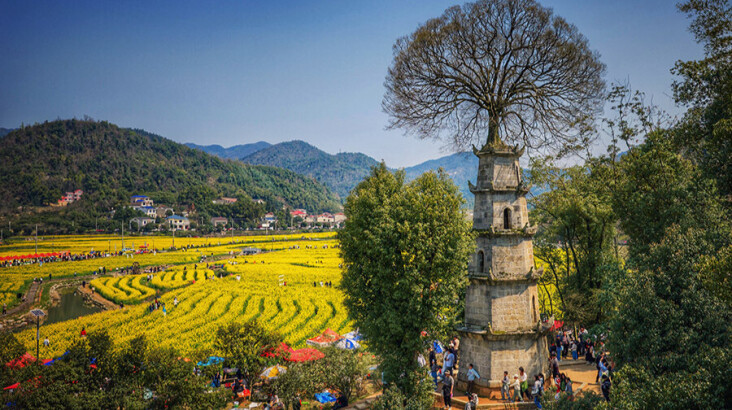 连片花海助推农旅融合发展