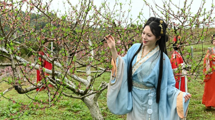 “花经济”促农增收