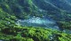 赶山