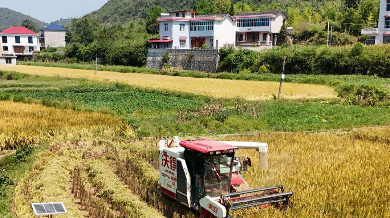 多措并举守护粮食安全