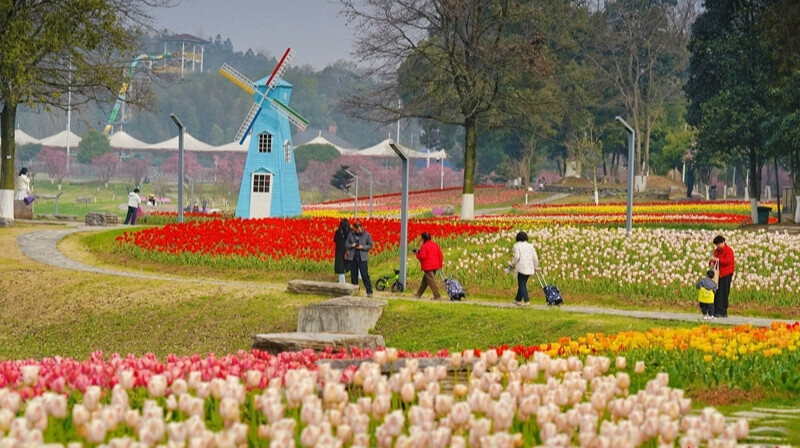 共赴春日花海之约