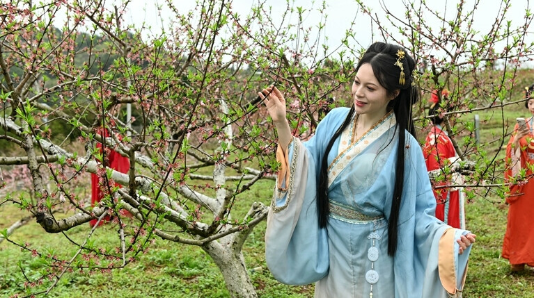 “花经济”促农增收