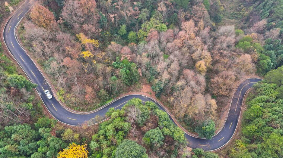 美图推荐 | 通道：彩林伴路景如画