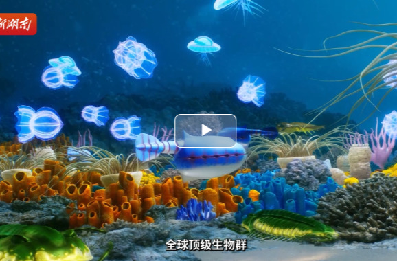 全球顶级软躯体化石生物群为何出现在花垣？