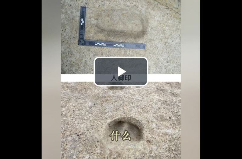 湖南发现1600年前的人和牛脚印，古代犁田图跃然眼前