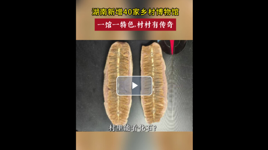 湖南新增40家乡村博物馆，一馆一特色，村村有传奇