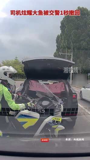 司机炫耀大鱼被交警1秒撤回