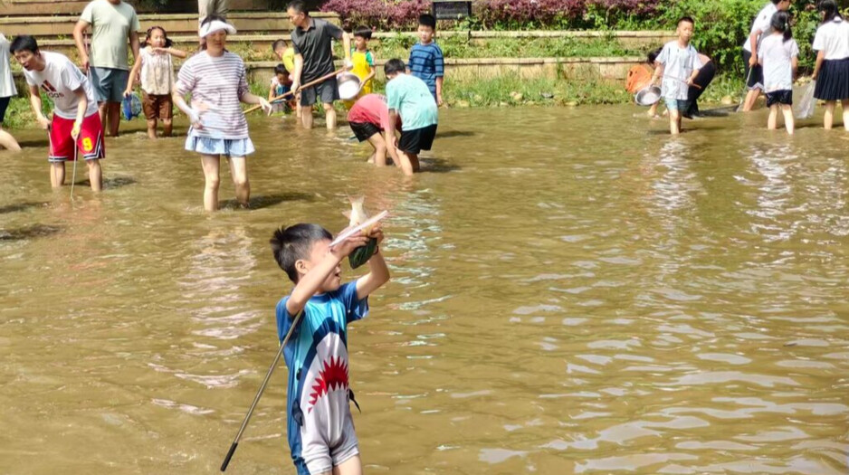 小区池塘秒变欢乐场，大小朋友抓鱼撒欢提前过“六一”