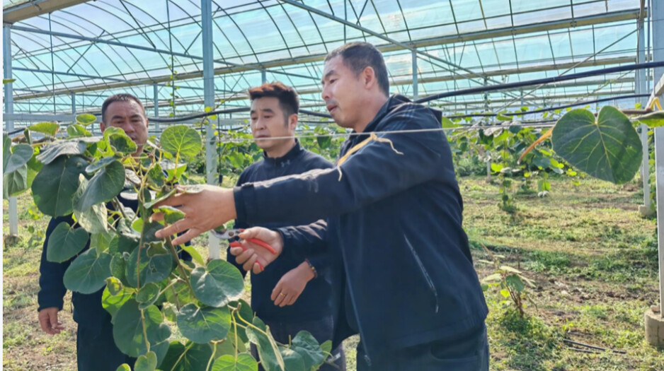 瞄准高素质，精准施教促振兴——湖南大力培育高素质农民观察