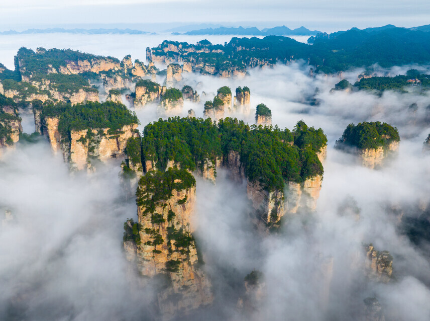 山水天团，“大张”出道