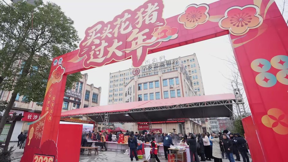 “出新”又“出彩”！原生态花猪引领年味消费